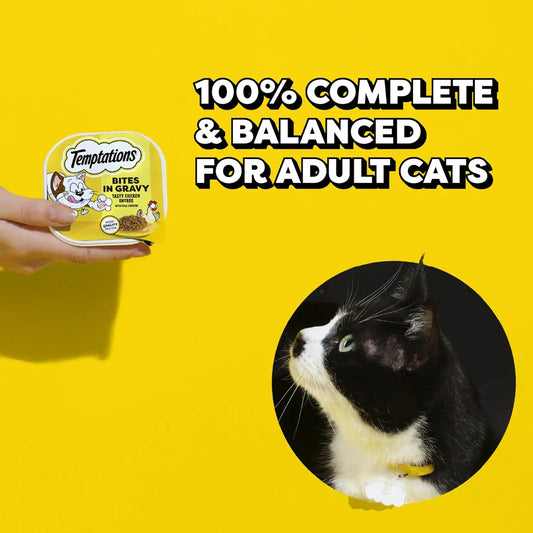 Temptations Bites in Gravy Adult Wet Cat Food Tasty Chicken Flavor, 3.5 oz. Trays (24 Count, Pack of 1)