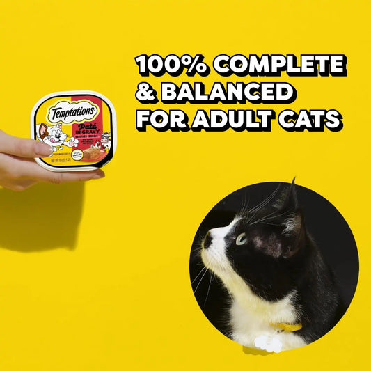 Temptations Pate in Gravy Adult Wet Cat Food Backyard Cookout Flavor, 3.5 oz. Trays (24 Count, Pack of 1)