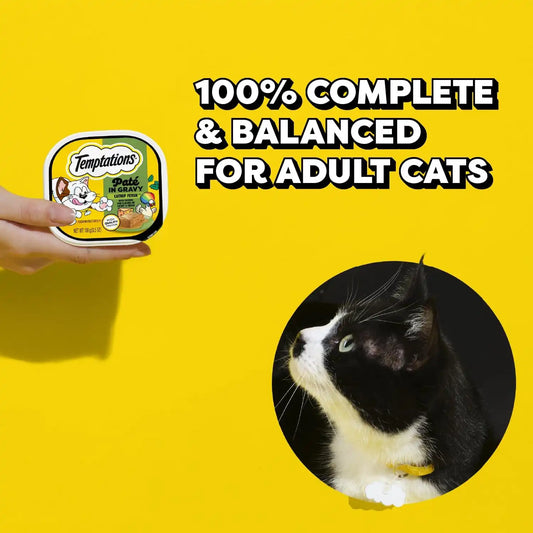 Temptations Pate in Gravy Adult Wet Cat Food Catnip Fever Flavor, 3.5 oz. Trays (24 Count, Pack of 1)